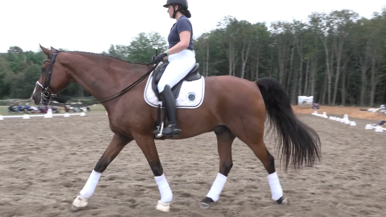 Grand Prix Piaffe and Passage | Laura Graves | PART 02