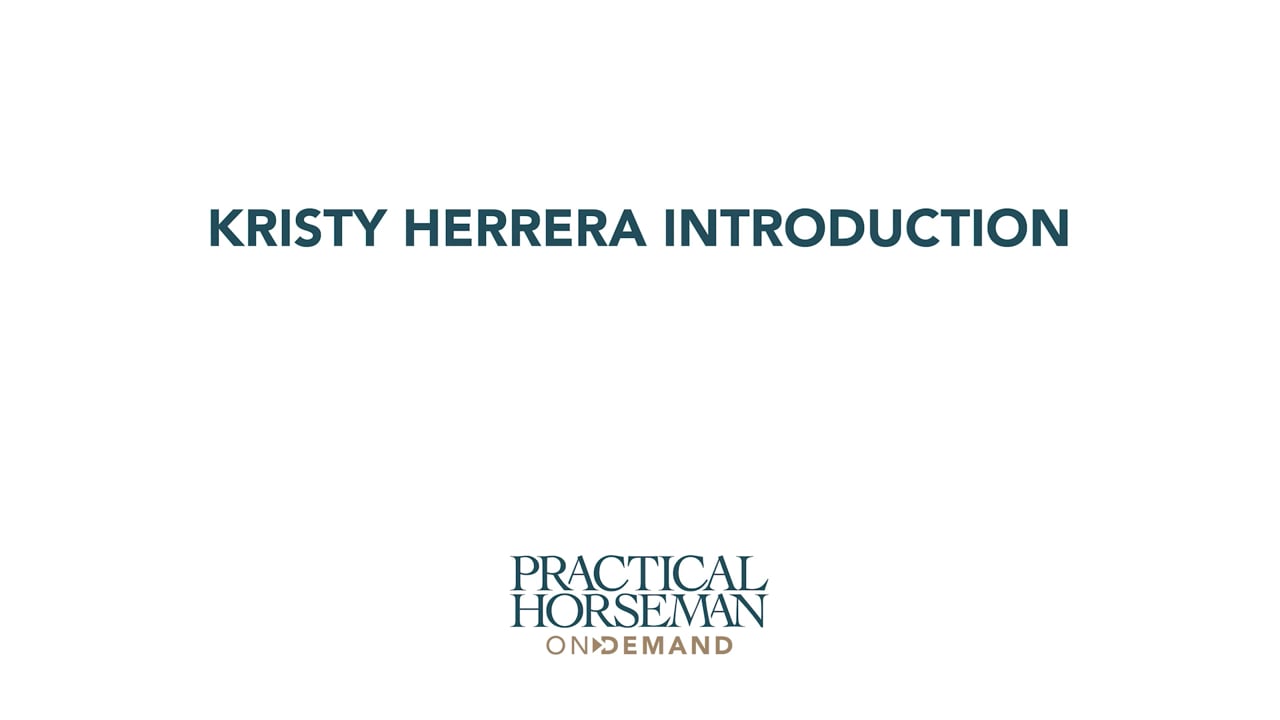 Introduction | Kristy Herrera