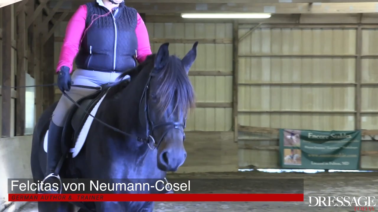 Better Transitions | Felicitas von Neumann-Cosel