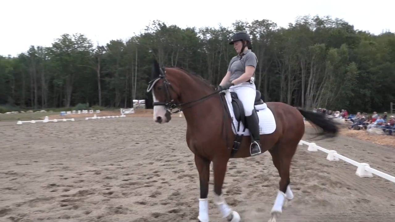 Grand Prix Movements Canter Pirouette | Laura Graves