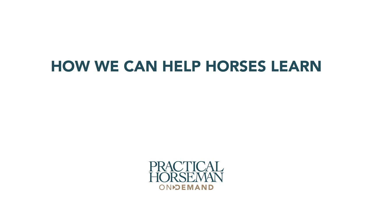 How to use the half halt - Hilda Gurney