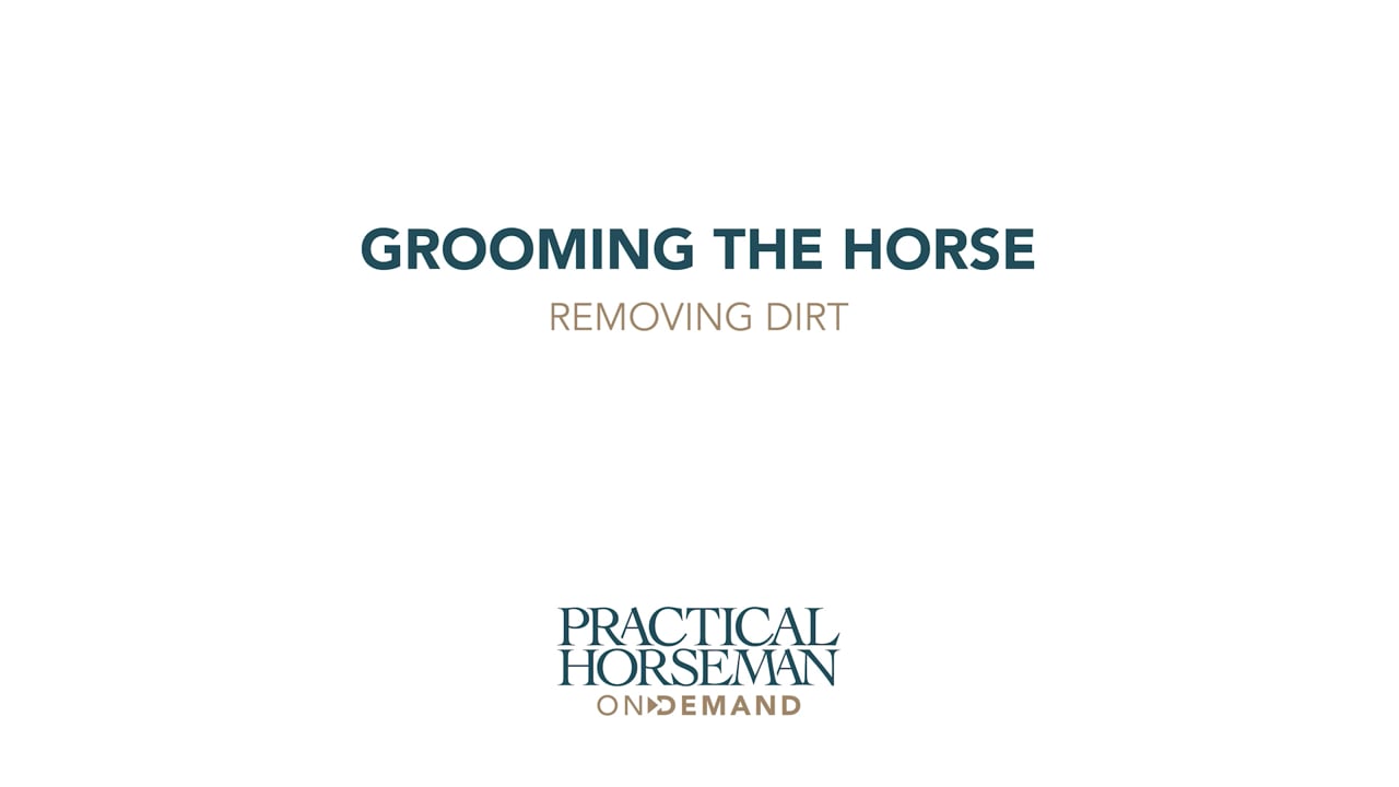 Grooming the Horse: Removing Dirt | Laurie Pitts