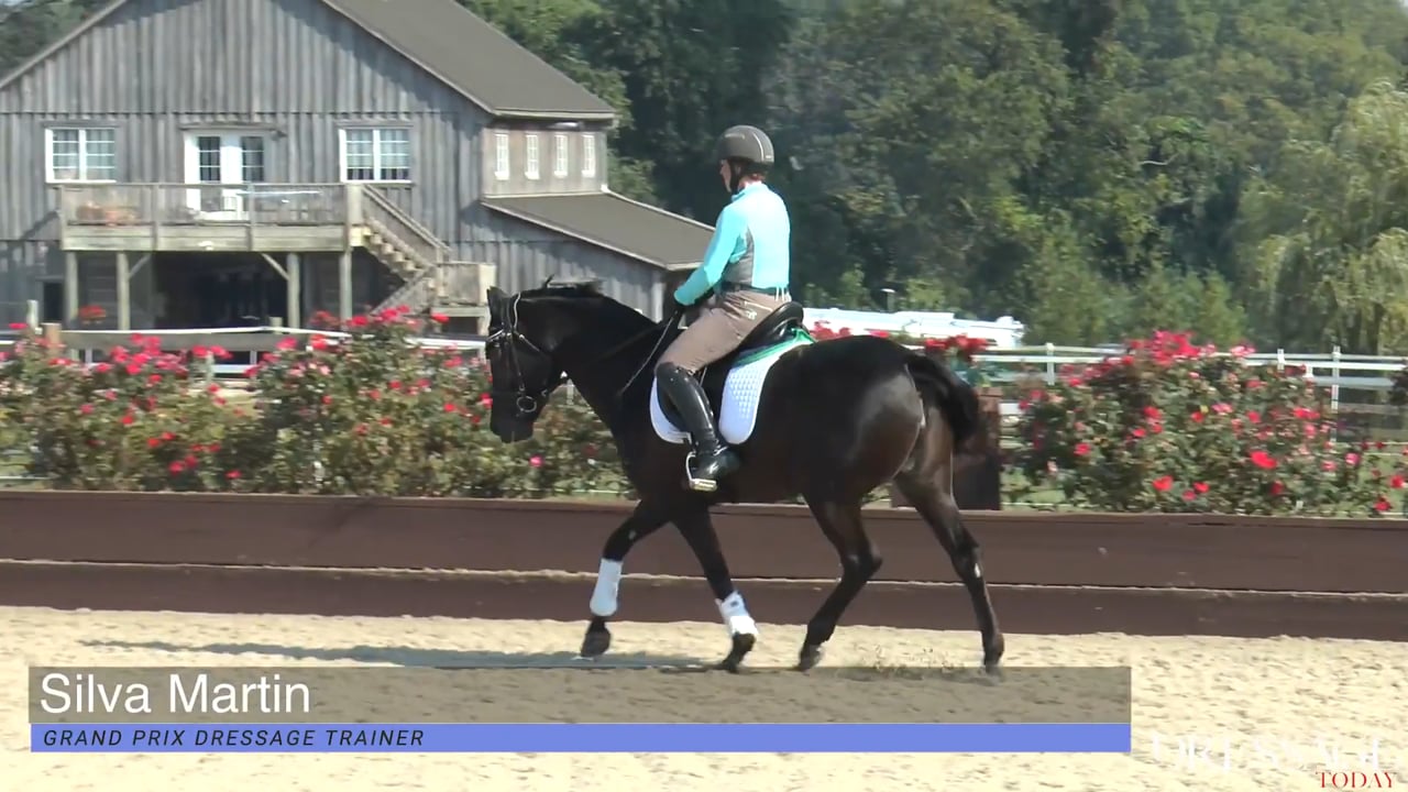 Dressage Lessons | Silva Martin | SESSION 02