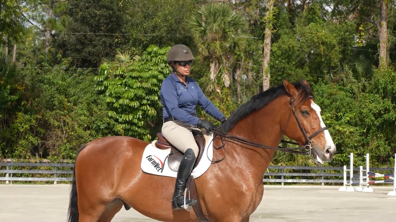 How to Make the Horse Canter Better | Catherine Haddad