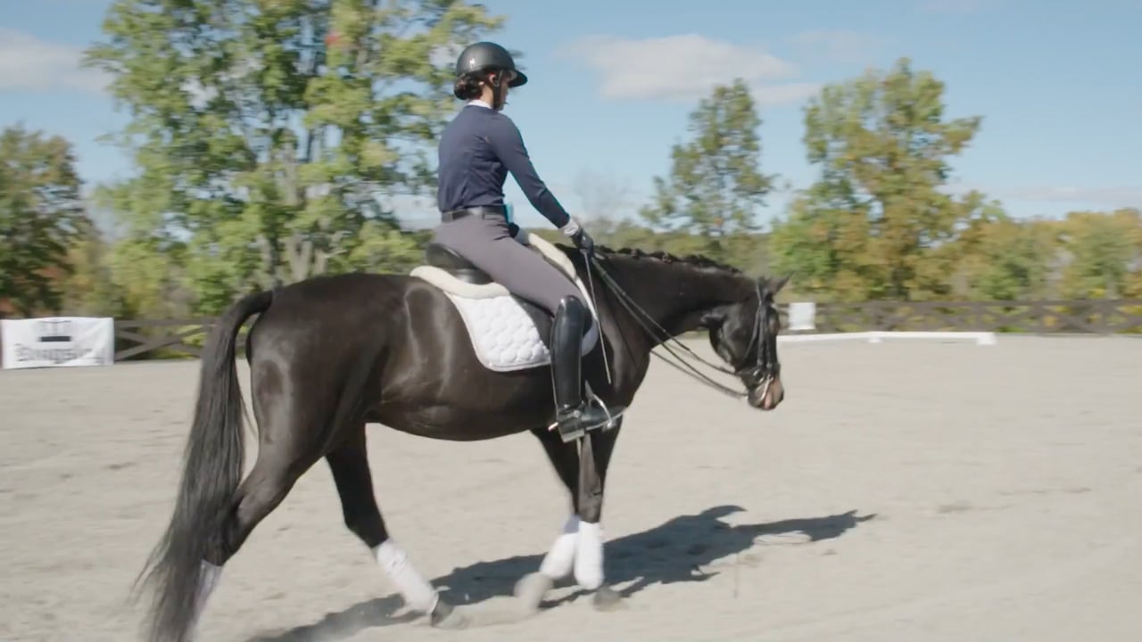 Establish Sensitivity to the Leg | Steffen Peters | PART 03