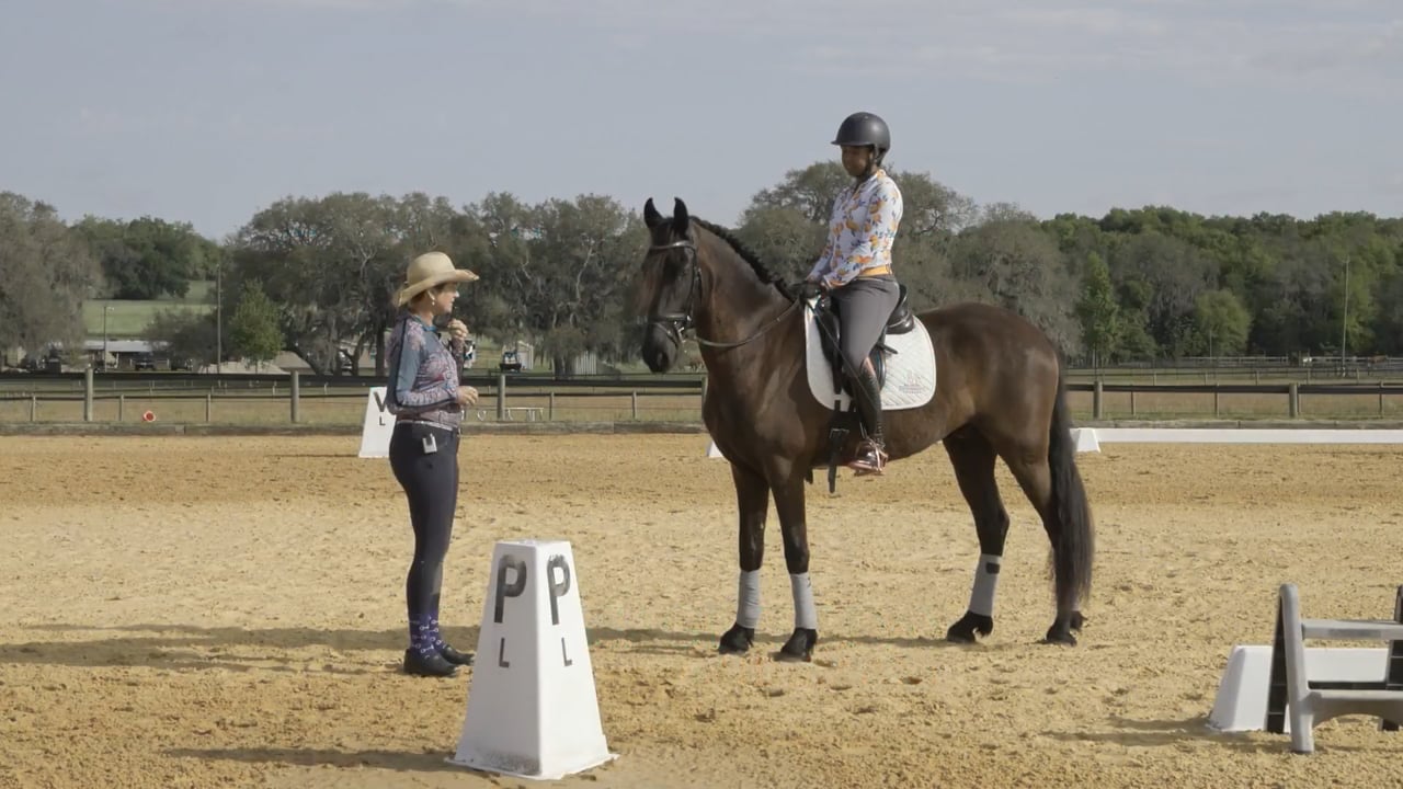 Event Rider with a Young Horse Biomechanics | Stephany Fish Crossman | PART 01