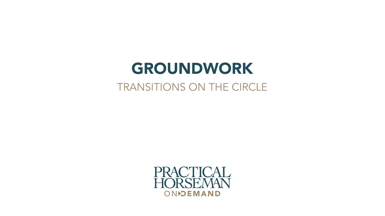 Groundwork - Transitions on the Circle | Chelsea Canedy