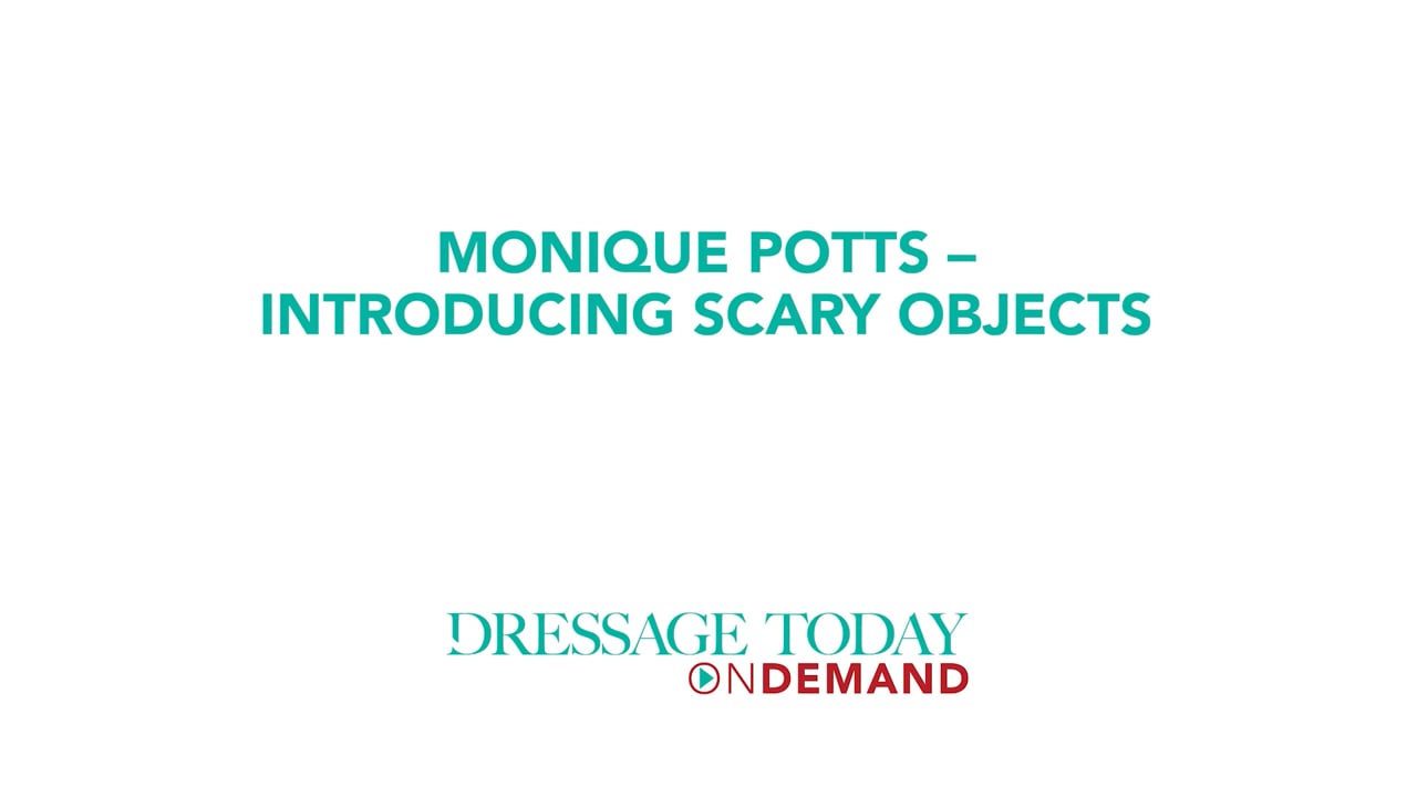 Introducing Scary Objects | Monique Potts