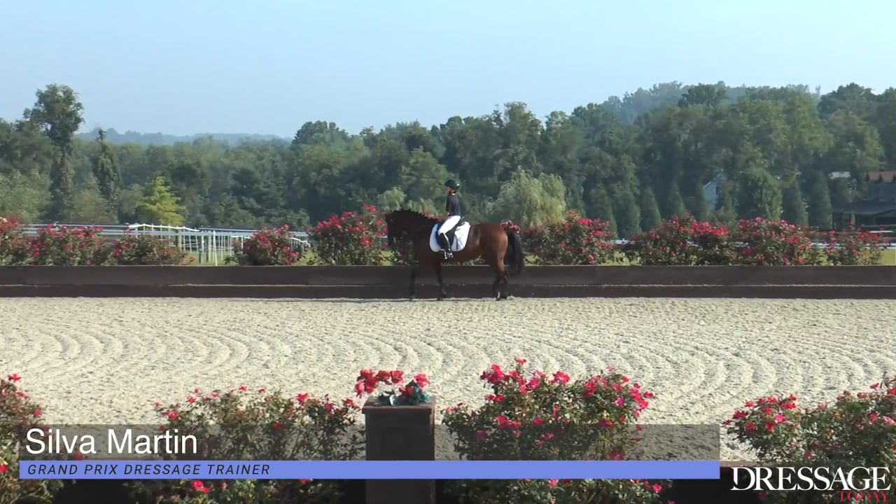 Dressage Is A Numbers Game | Carl Hester and Richard Davison | PART 02