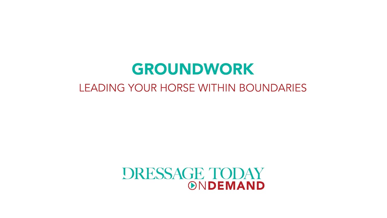Groundwork - Leading Your Horse Within Boundaries | Chelsea Canedy