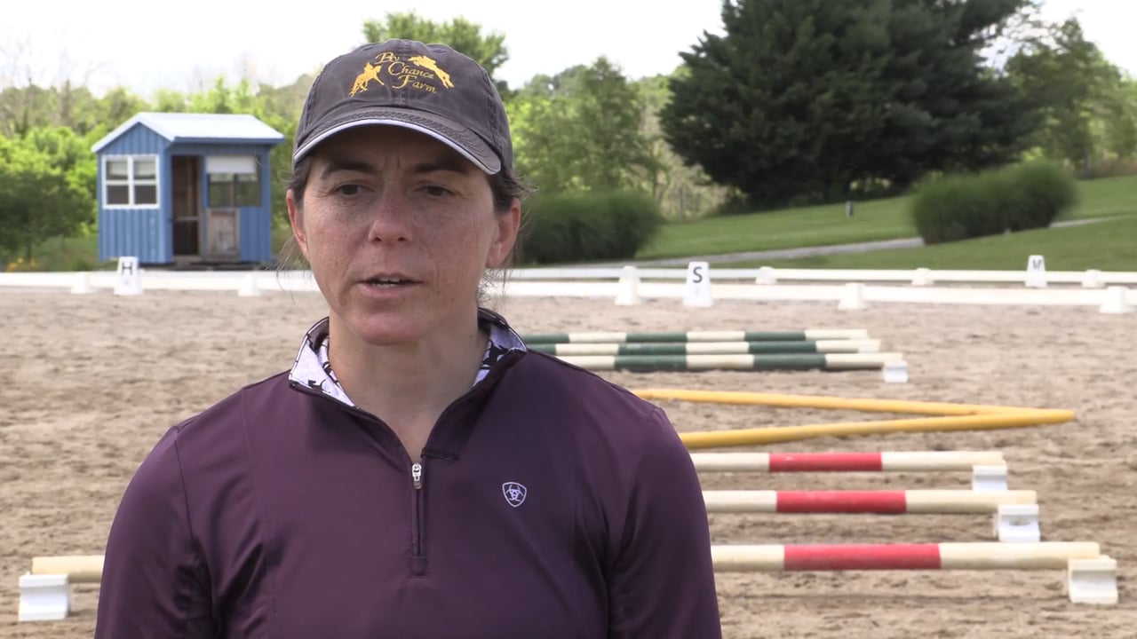 Group 1- Basic Warm Up Over Cavalletti | Michele Wellman | PART 01