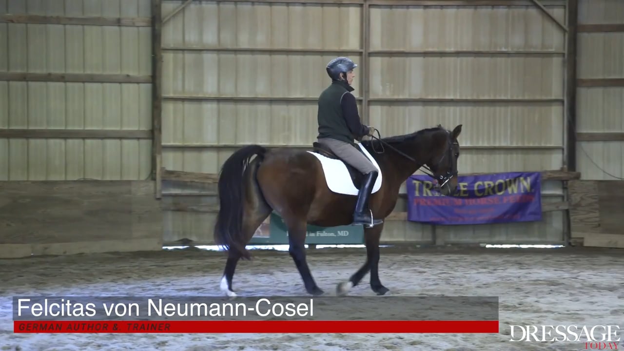 Correct Alignment | Felicitas von Neumann-Cosel | PART 02