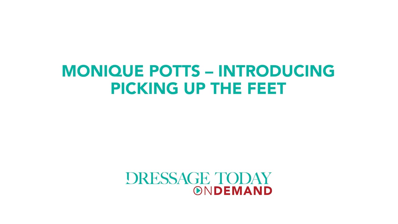 Introducing Picking Up the Horse's Feet | Monique Potts