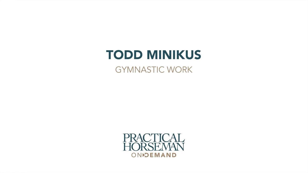 Gymnastic Work | Todd Minikus