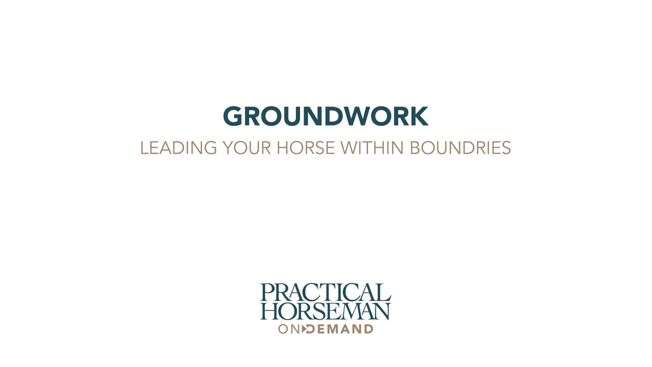 Groundwork - Leading the Horse Within Boundaries | Chelsea Canedy
