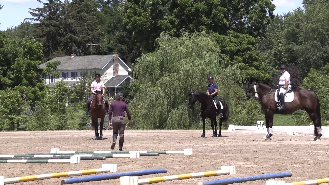 Individual Cavalletti Exercises | Michele Wellman