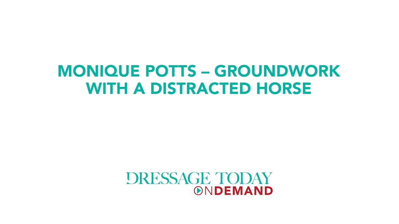 Groundwork with a Distracted Horse | Monique Potts