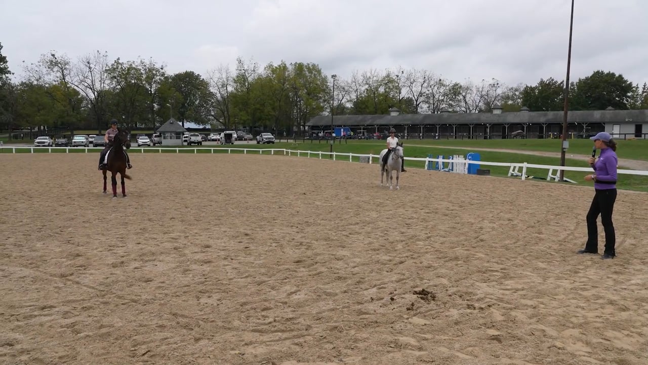 Identifying Your Horse's Energy Level | Karen Rohlf
