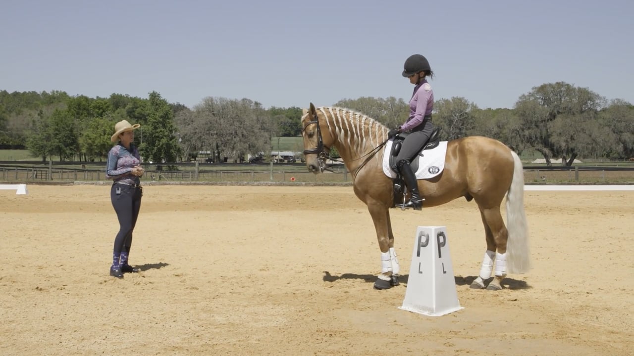 Grand Prix Level Rider Biomechanics | Stephany Fish Crossman | PART 01