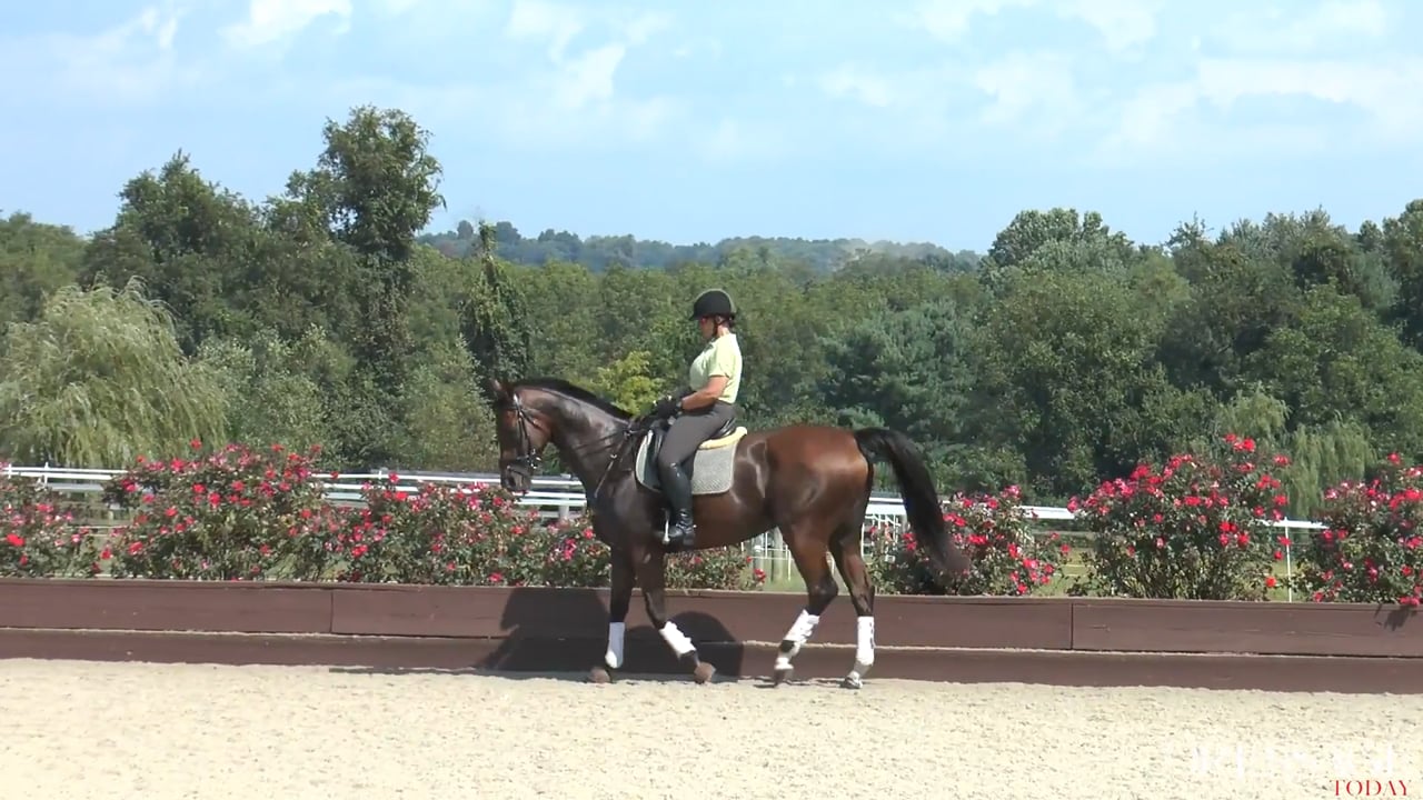 Dressage Is A Numbers Game | Carl Hester and Richard Davison | PART 05