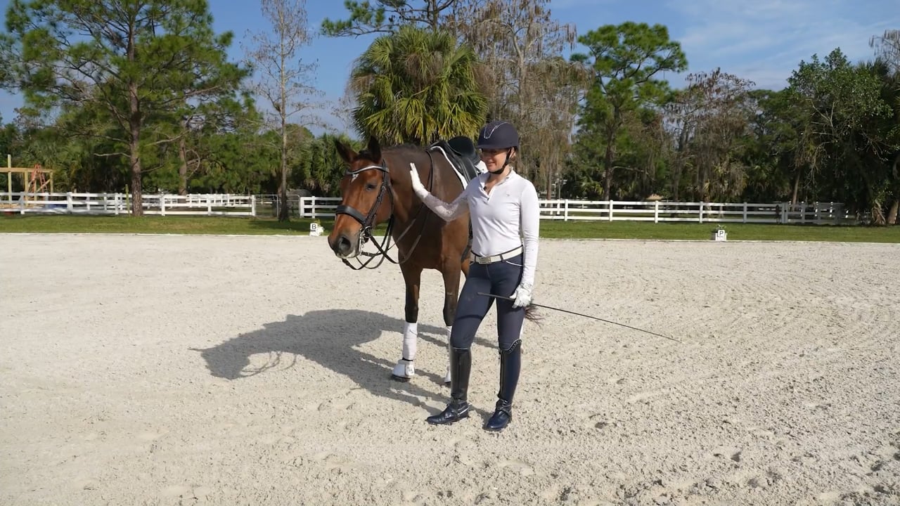 In-Hand Piaffe | Laura Ashley Killian | PART 01