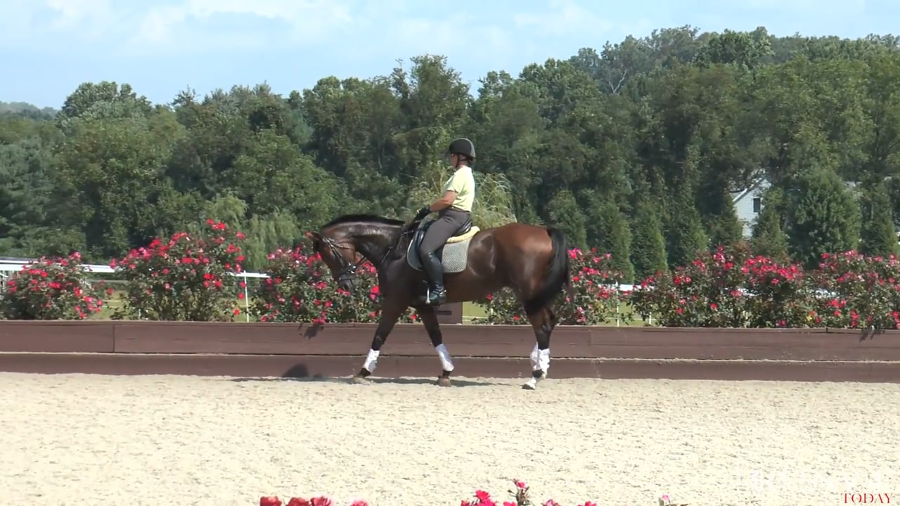 Dressage Lessons | Silva Martin | SESSION 04
