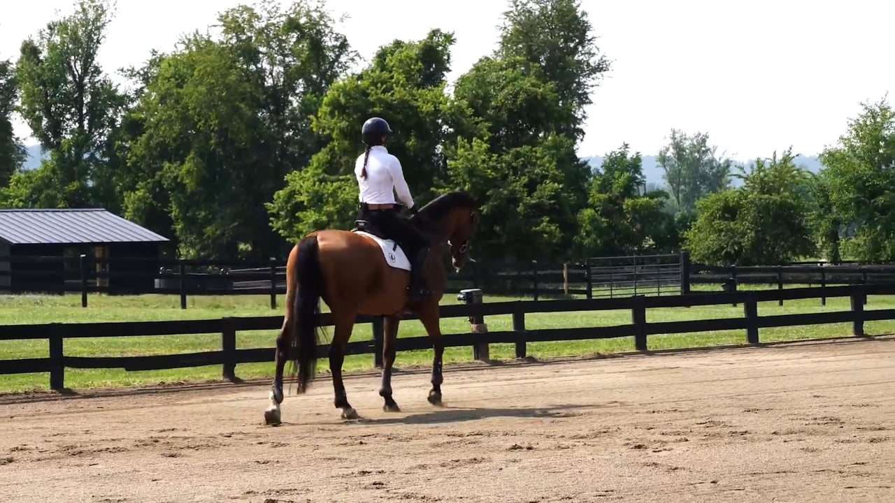 Jumping a Crossrail on the Diagonal | Sloane Coles | PART 02