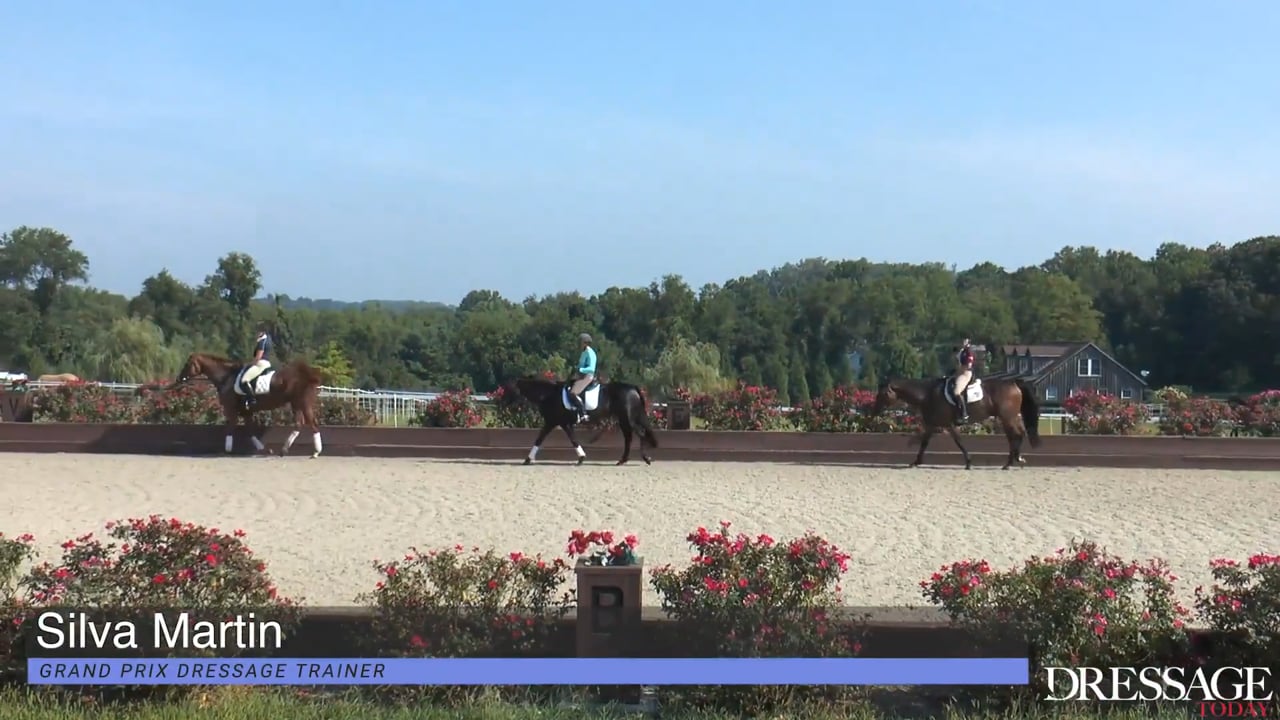 Dressage Is A Numbers Game | Carl Hester and Richard Davison | PART 04