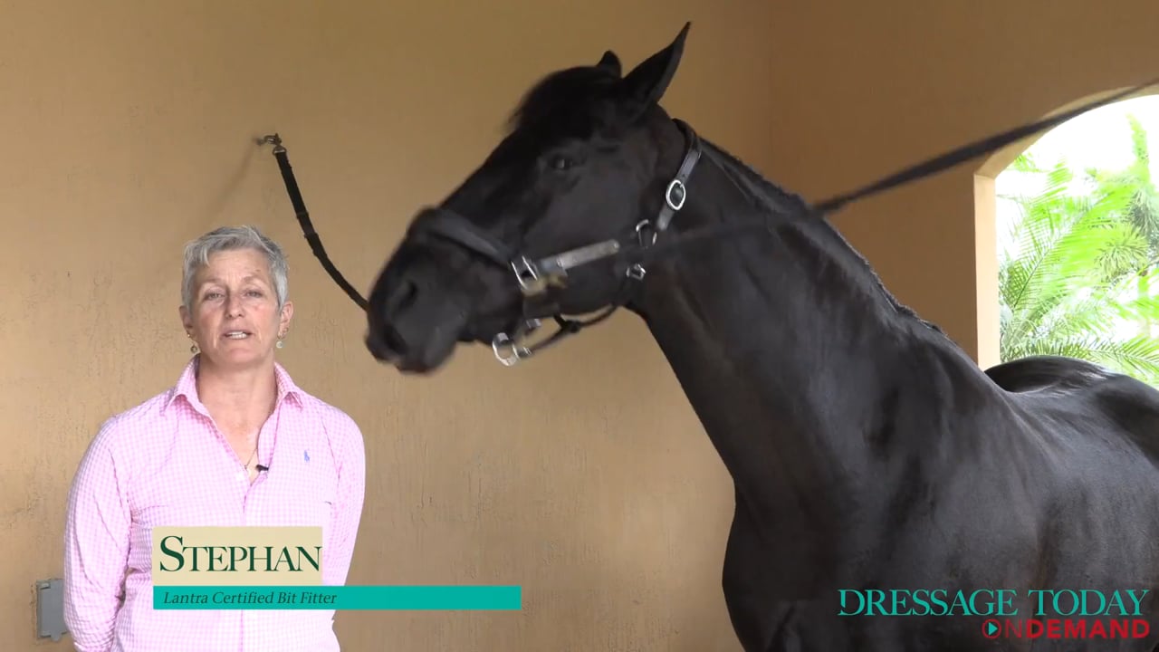 Introduction to Bitting with an Expert | Stephanie Brown-Beamer