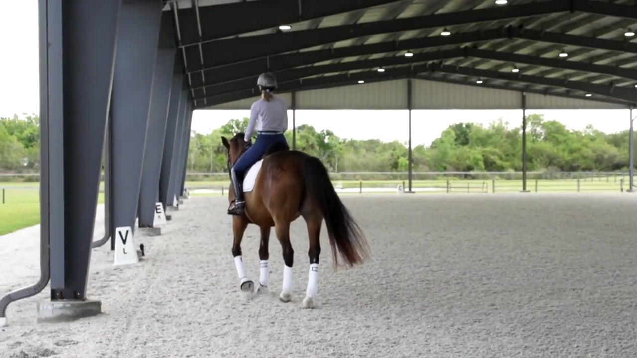 Improving Reactivity to the Leg
