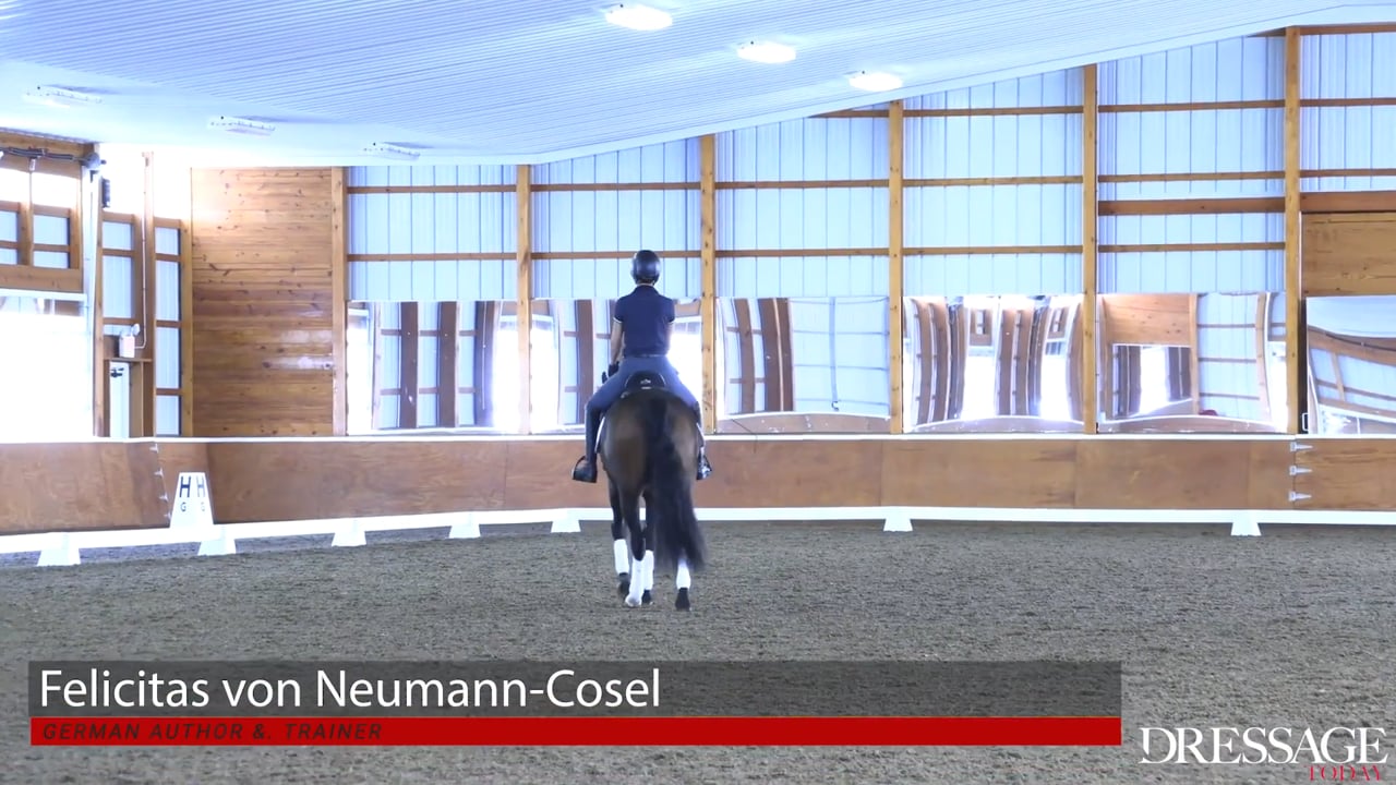 Creating Sparkle and tact when riding with Courtney King-Dye and Anne Gribbons p