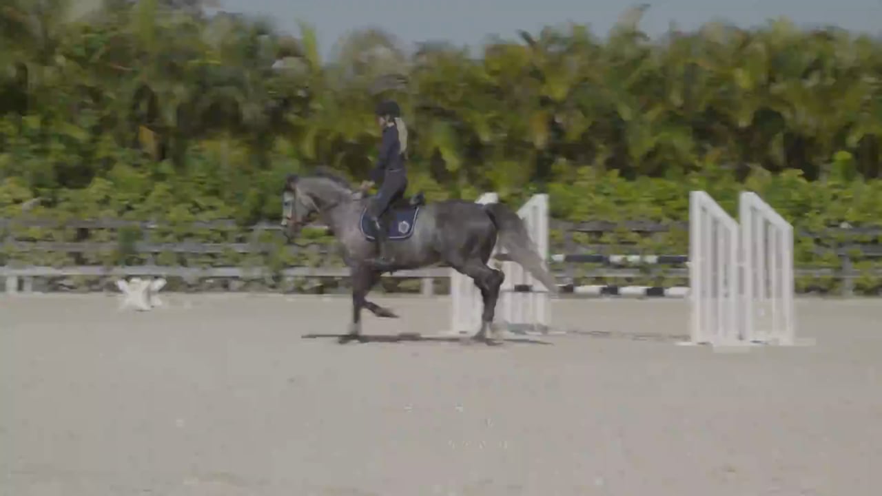 Jumper Flatwork After Days Off | Bliss Heers | PART 03