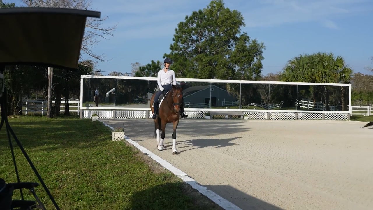 Mounted Rider Stretches | Laura Ashley Killian