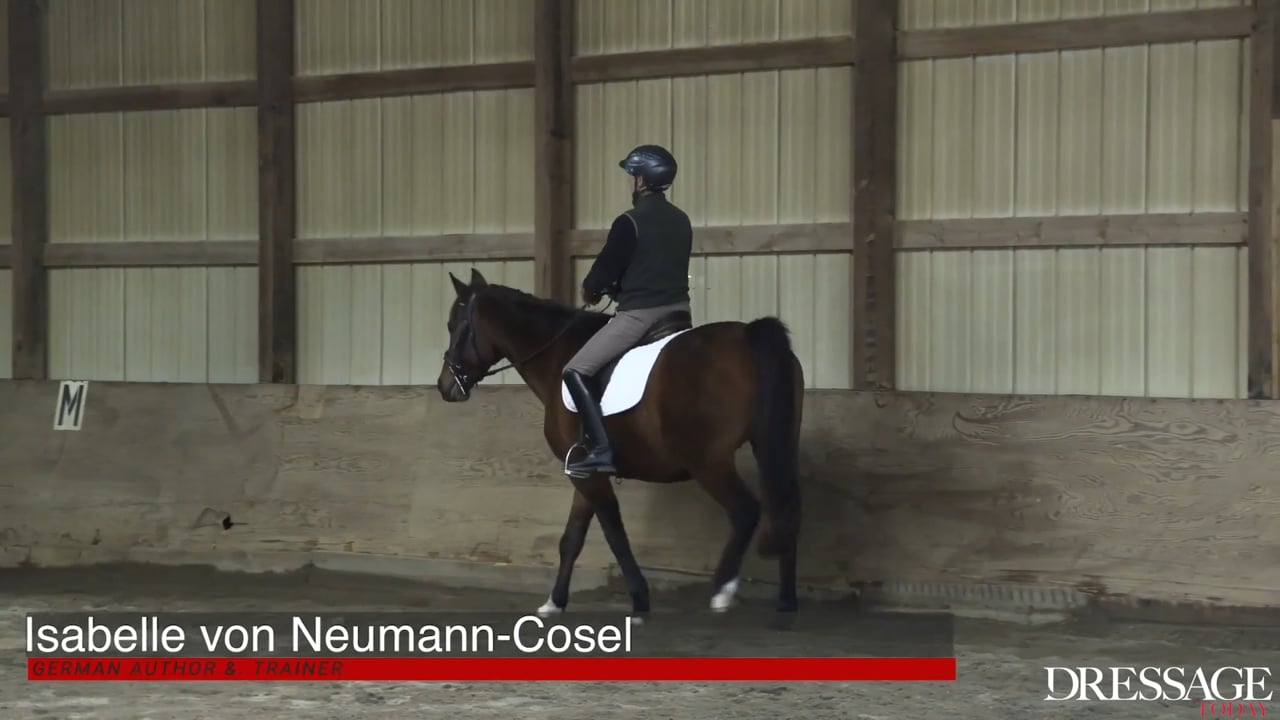 Correct Alignment | Isabelle von Neumann-Cosel | PART 01