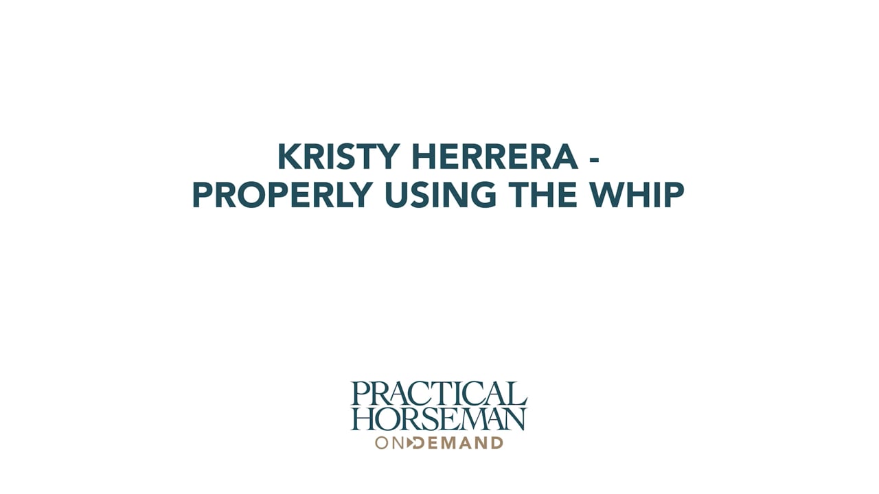 Properly Using the Whip | Kristy Herrera