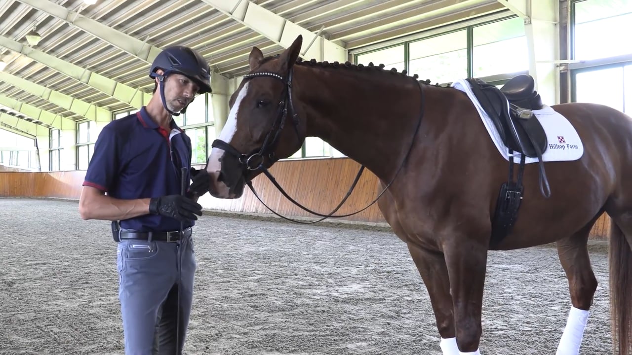 Parking at the Mounting Block | Michael Bragdell