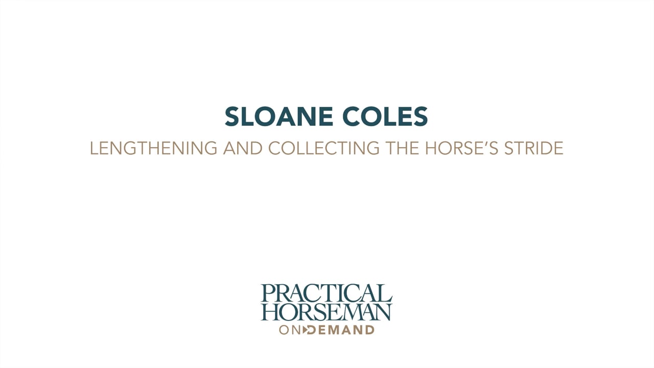 Lengthening and Collecting the Horse's Stride | Sloane Coles