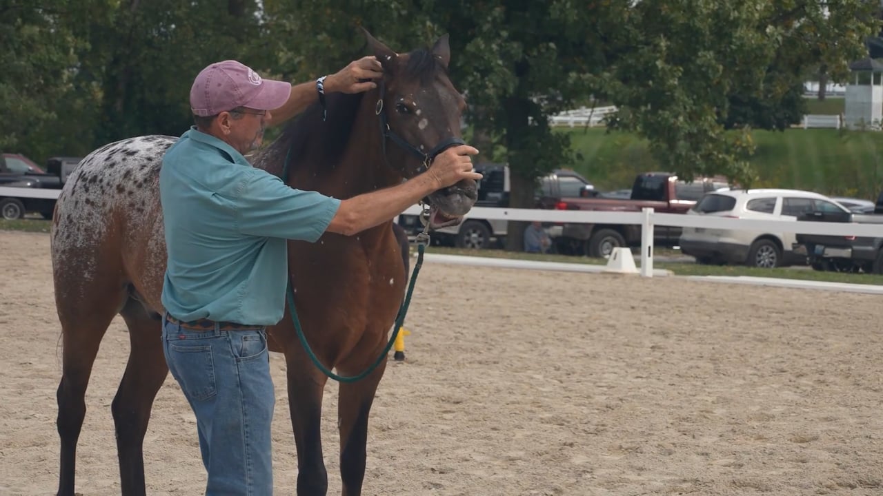 Lateral Flexion | Jim Masterson