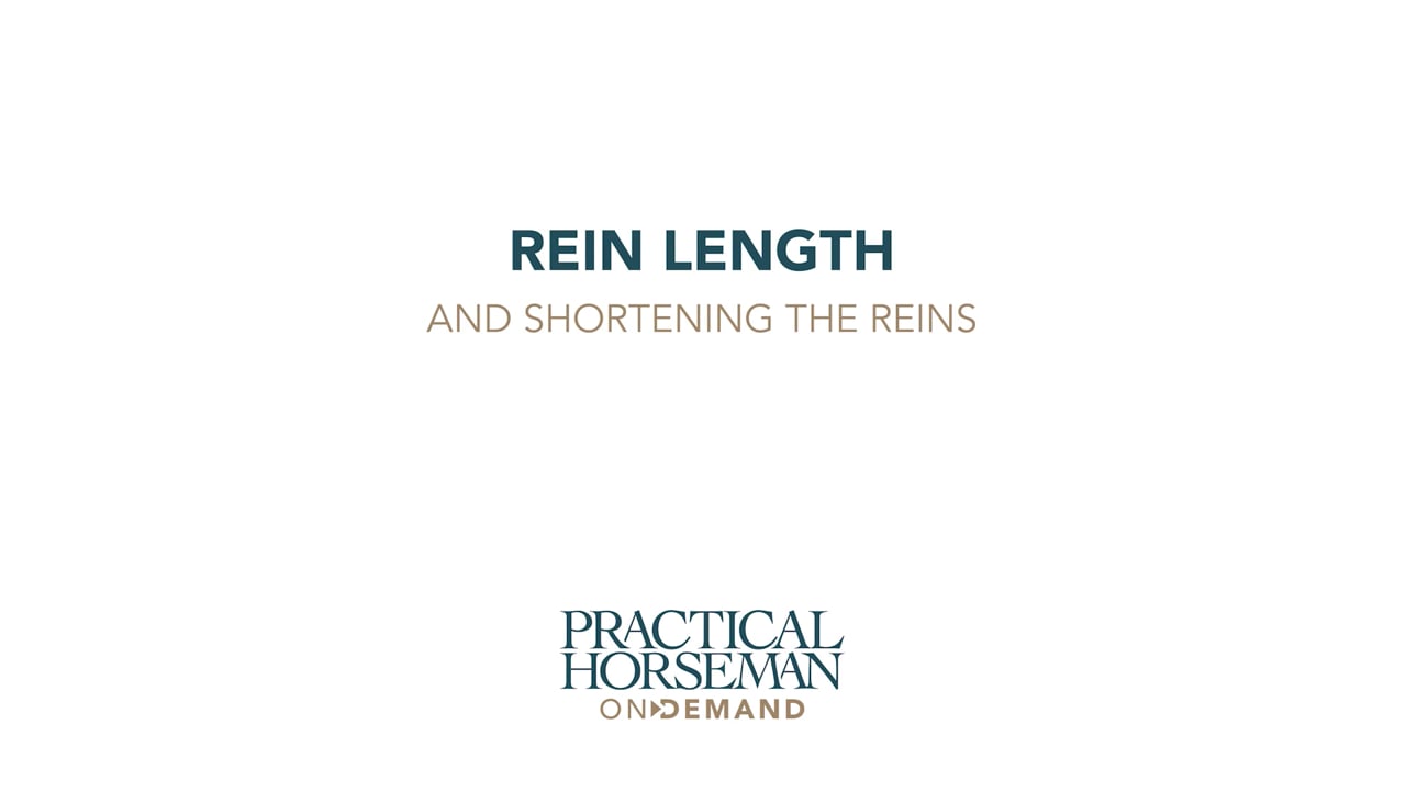 Rein Length and Shortening Reins | Holly Hugo-Vidal