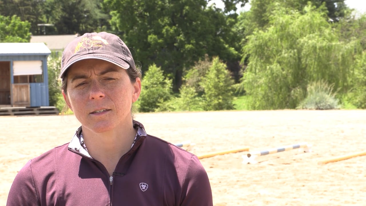 Story of Advocating for Her Horse | Michele Wellman