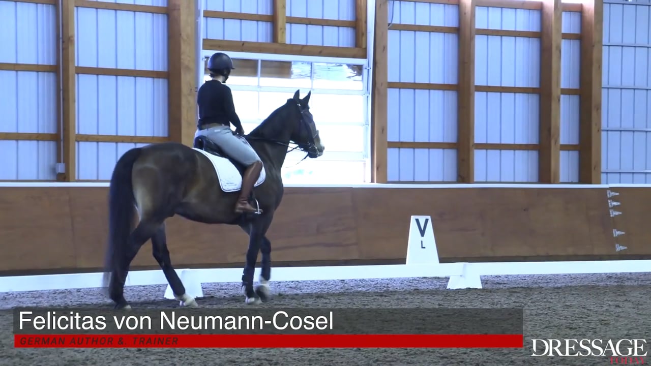 Controlling the Seat for Better Quality Gaits | Felicitas von Neumann-Cosel