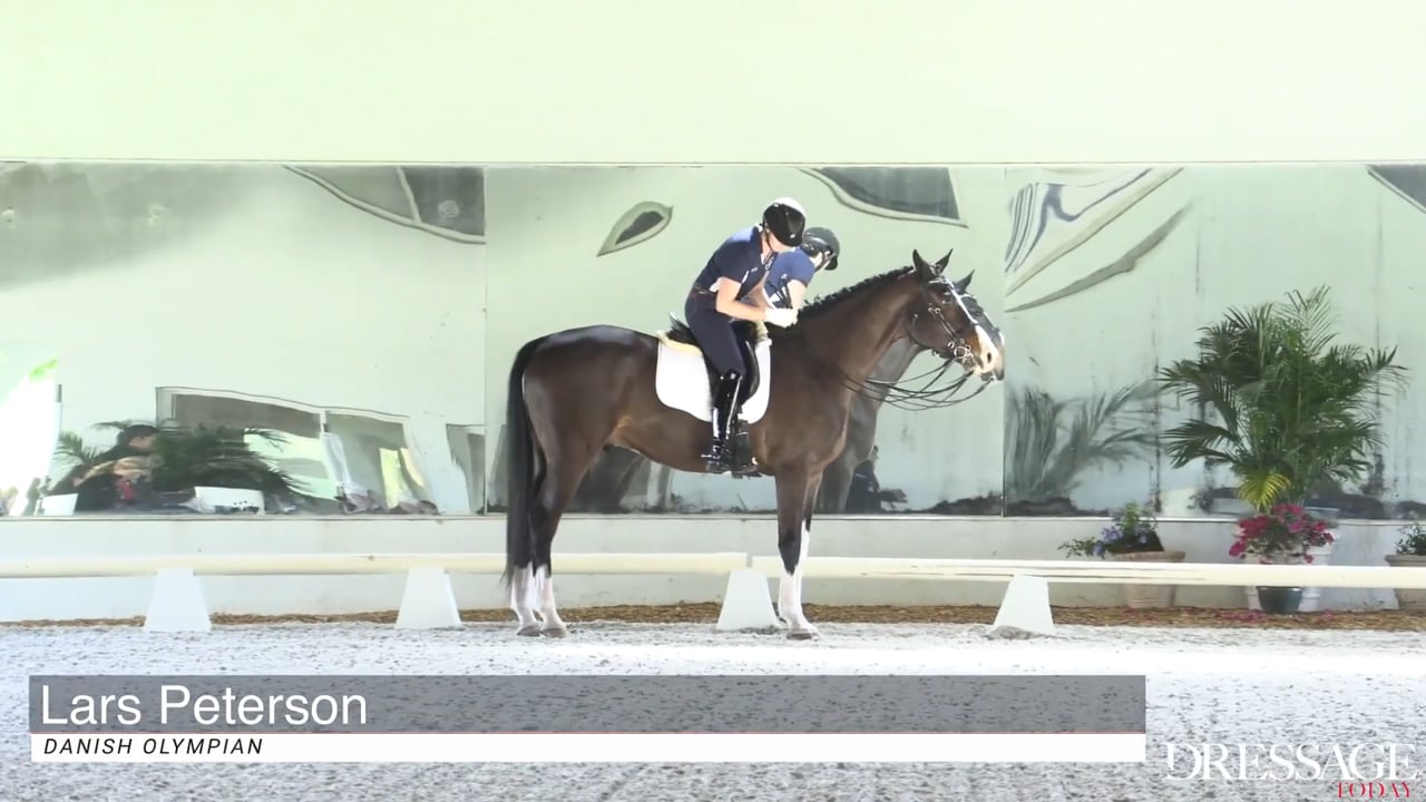 2020 Adequan/USDF Trainers Conference: Intermediate/GP, Day 2 | Ashley Holzer