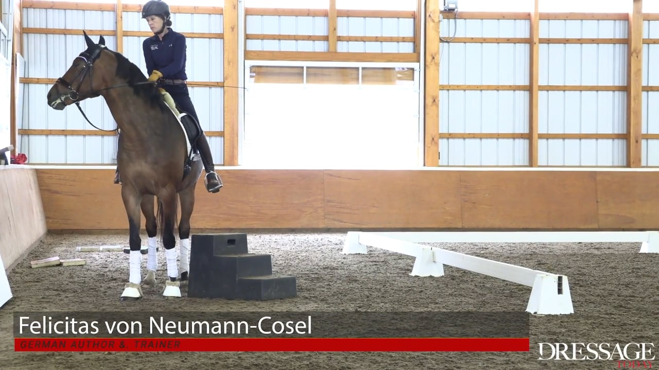 Improving the Canter Pirouette | Heath Ryan