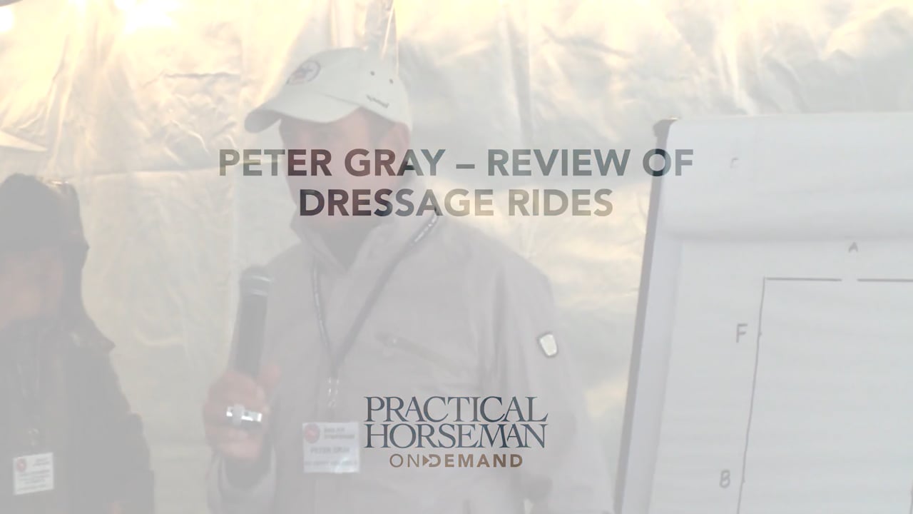 Review of Dressage Rides | Peter Grey