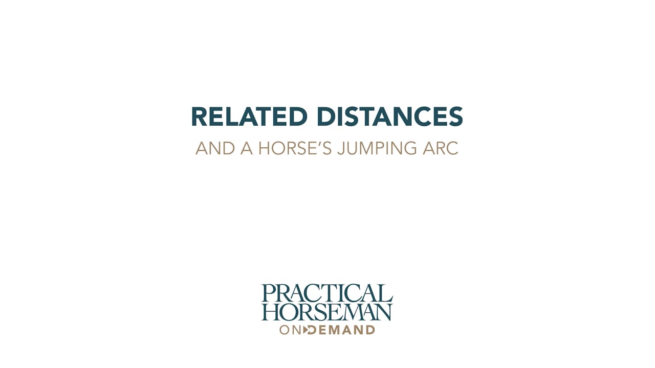 Related Distances and a Horse’s Jumping Arc | Holly Hugo-Vidal