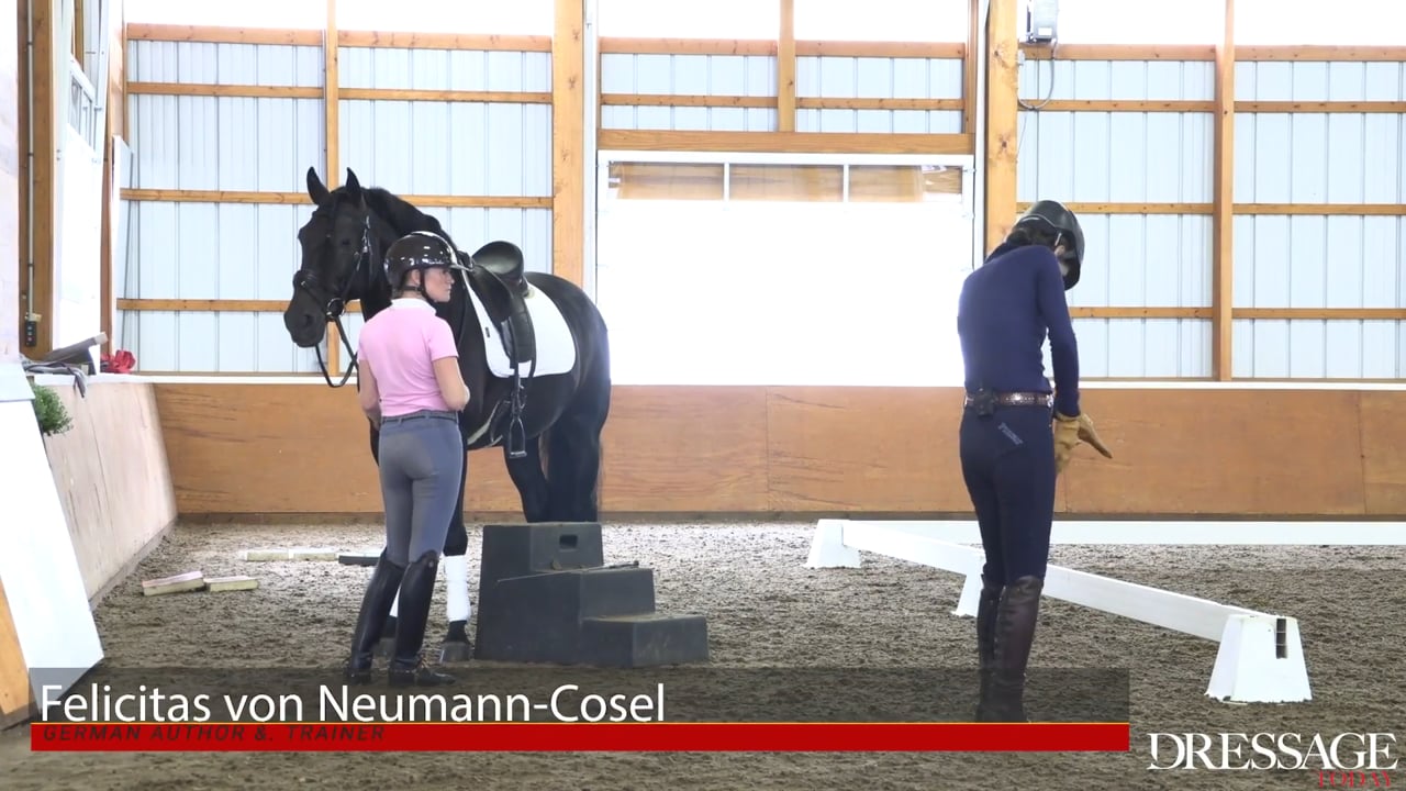 Balancing the Horse | Felicitas von Neumann-Cosel