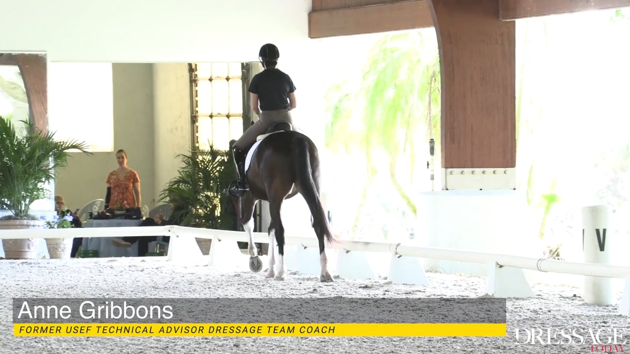 2020 Adequan/USDF Trainers Conference: Intermediate/GP | Anne Gribbons | DAY 01