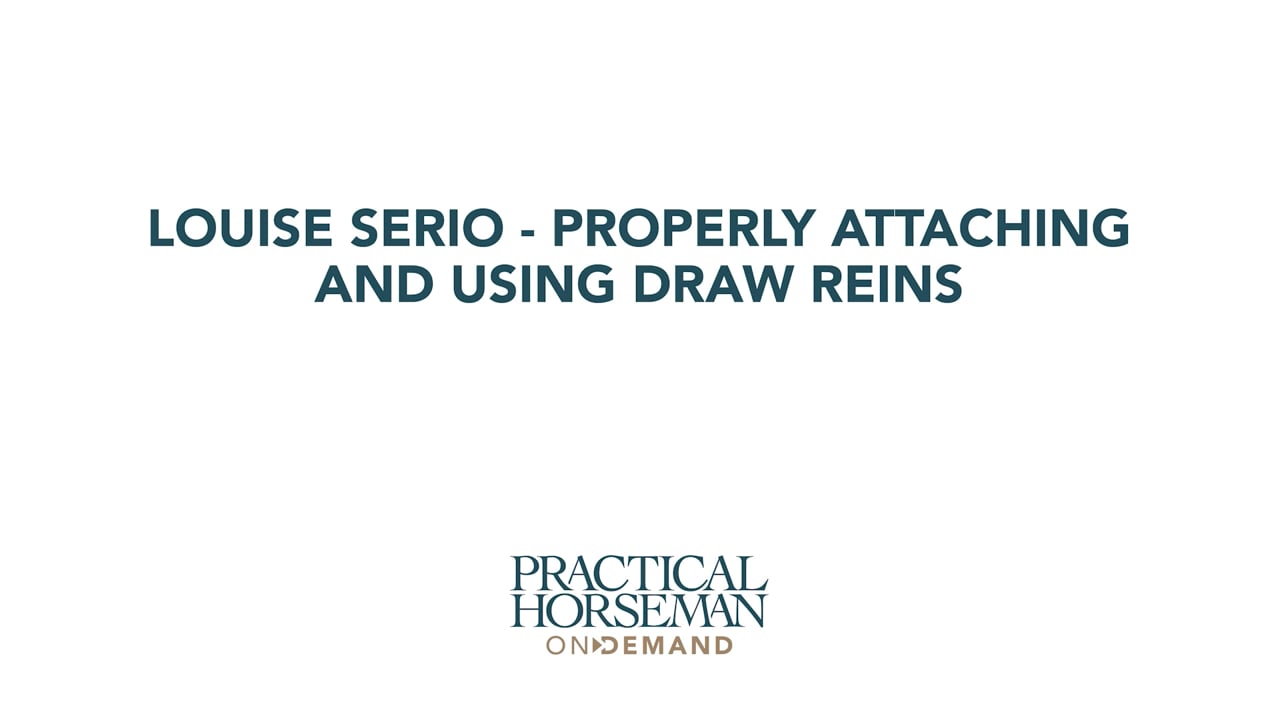 Properly Attaching and Using Draw Reins for Hunters | Louise Serio