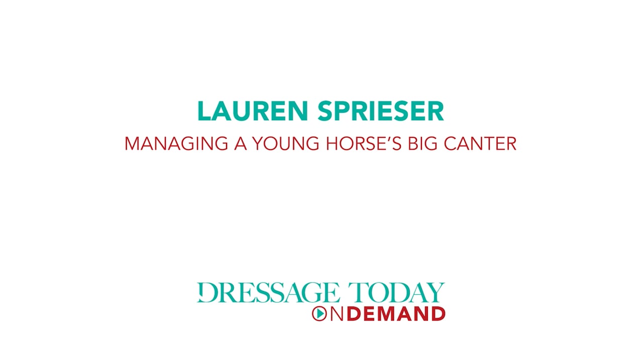 Managing a Young Horse Big Canter | Lauren Sprieser