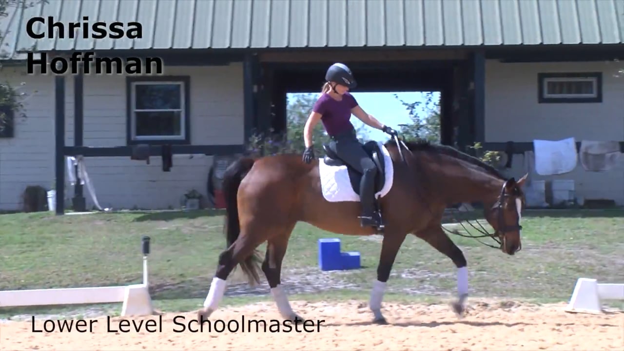 Lower-Level Schoolmaster | Chrissa Hoffman | PART 02